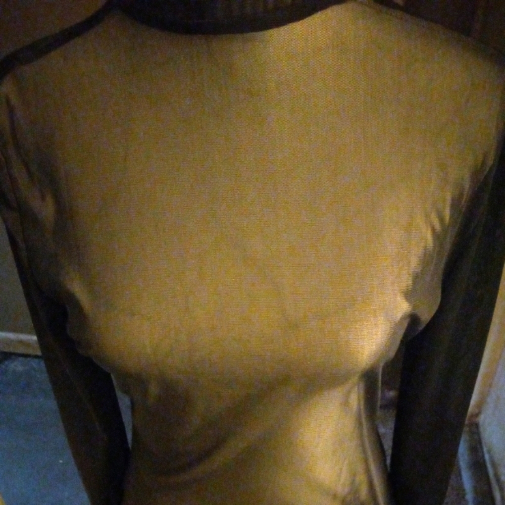 New, sheer mesh black stretch long sleeve mock turtleneck top size medium.